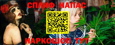 винт Партизанск