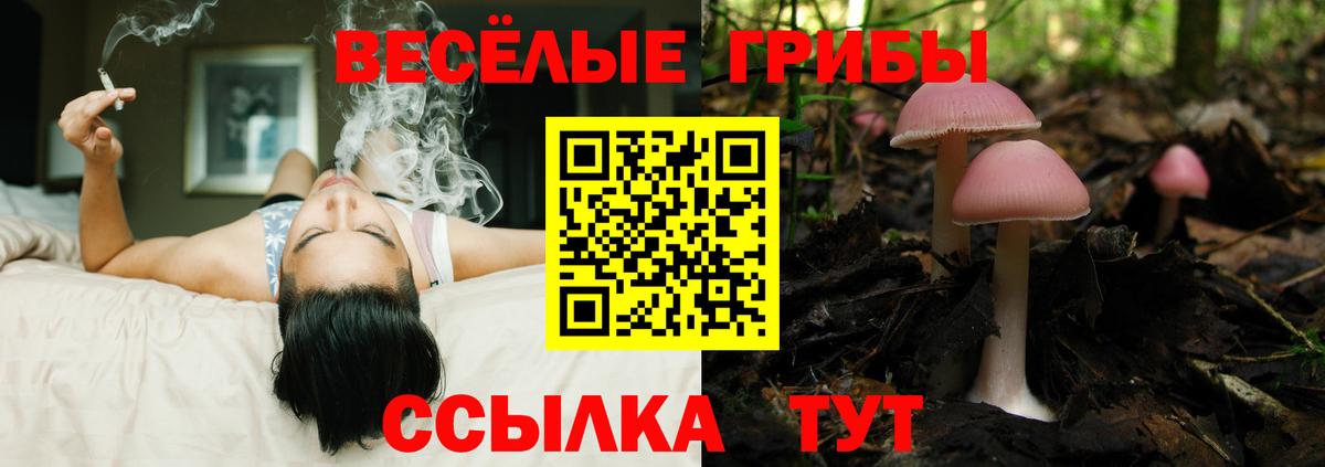 Трёхгорный  Псилоцибиновые грибы мухоморы  Вход с VPN 